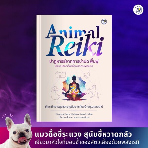 Animal Reiki - Image 2