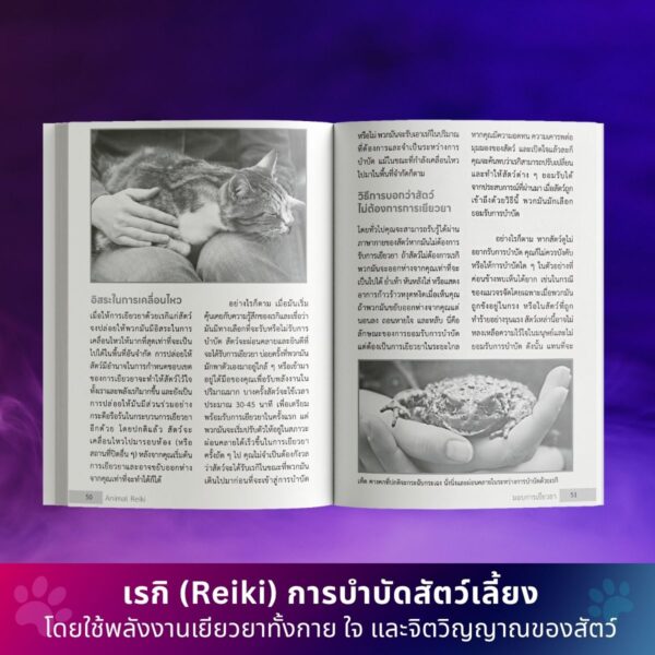 Animal Reiki - Image 4