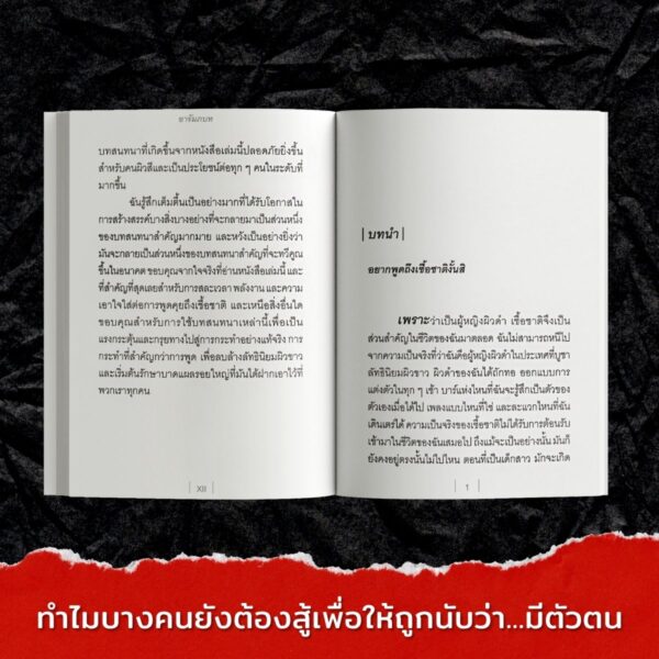 So You Want to Talk About Race (เหยียด) - Image 4
