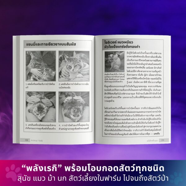 Animal Reiki - Image 7