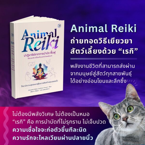 Animal Reiki - Image 9