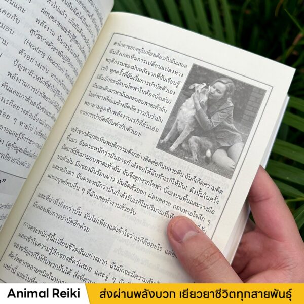 Animal Reiki - Image 3